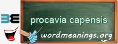 WordMeaning blackboard for procavia capensis